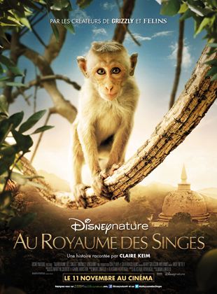 Au Royaume des Singes